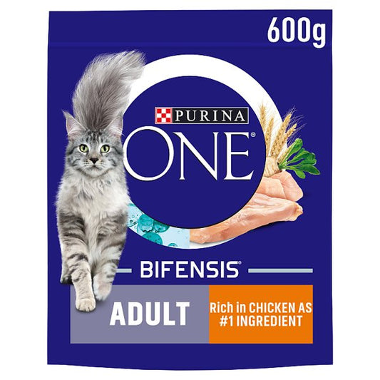 PURINA ONE Chicken Dry Cat Food 600g